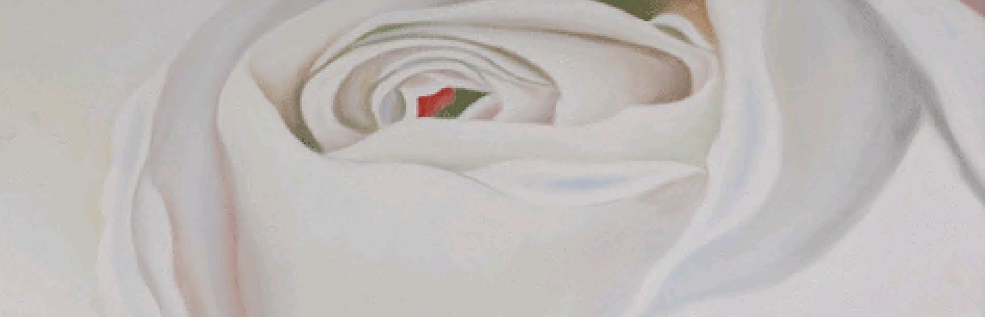 Picture WHITE ROSE 40x120cm