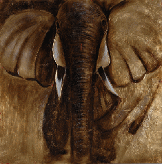 Picture ELEFANT 120x120cm
