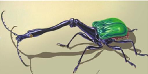Picture BEETLE 120x40cm