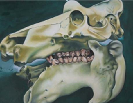 Picture HIPPO SKULL 100x60cm