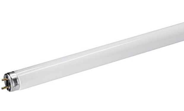 Bulb L840 T8 36W 230V