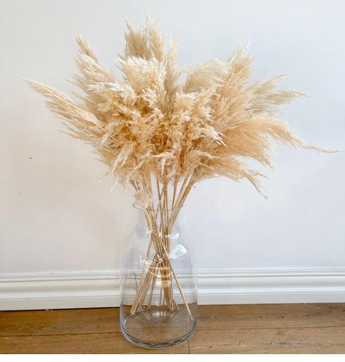 Deco PAMPAS GRASS nature
