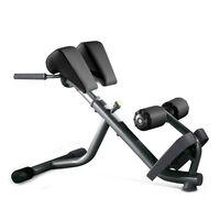 Lower Back Bench TECHNOGYM USED
