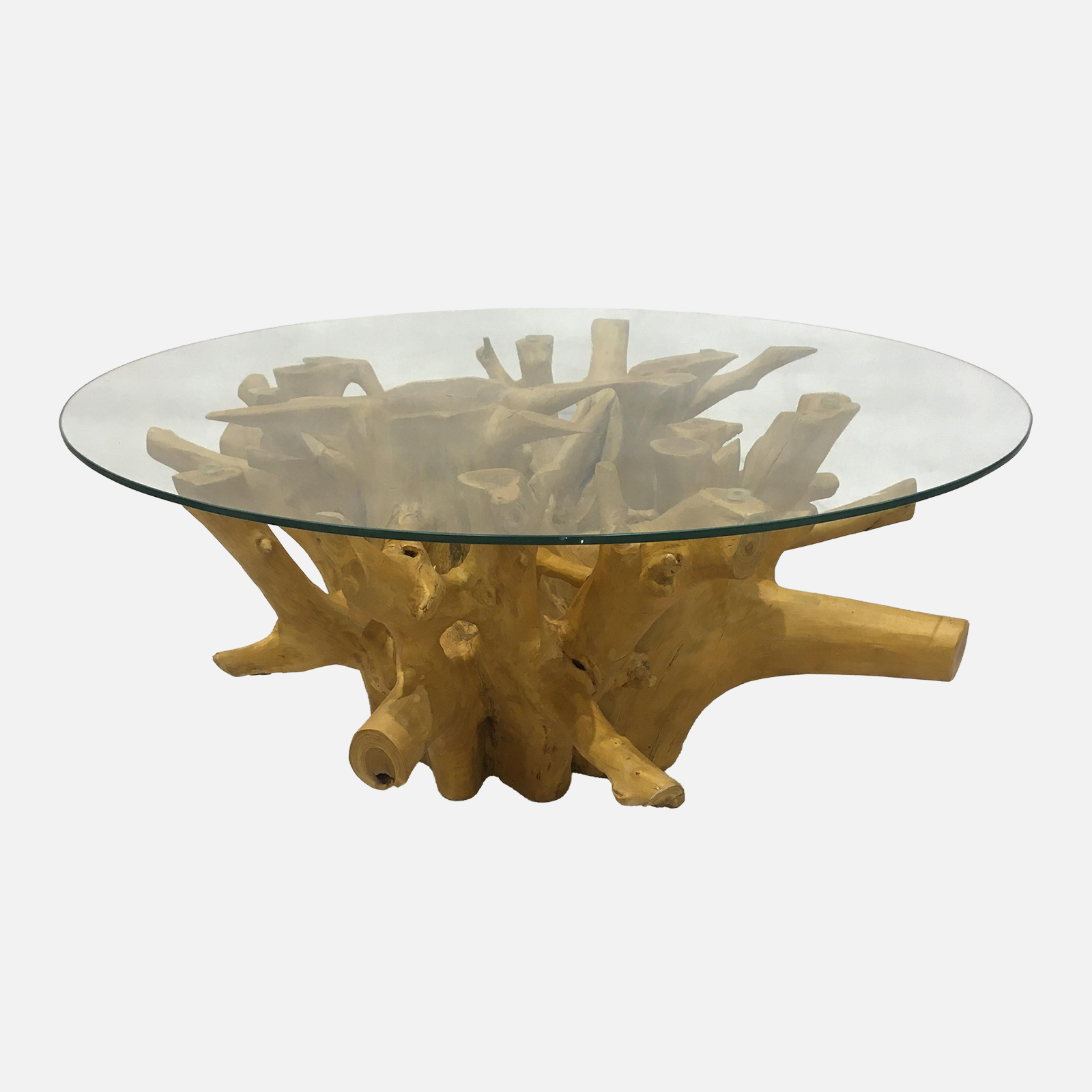 Salon table ROOT 100x40cm