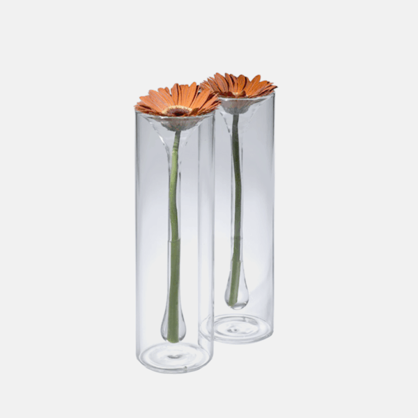 Vase STEM