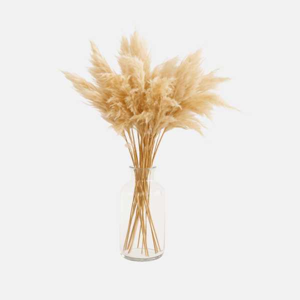 Deco PAMPAS GRASS nature