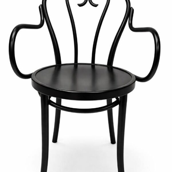 Dining chair BISTRO B16 USED